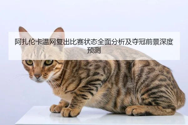 阿扎伦卡温网复出比赛状态全面分析及夺冠前景深度预测